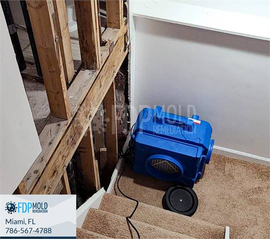 FDP Mold Remediation of Miami