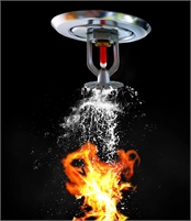 Professional Fire Protection LLC Professional Fire Protection LLC